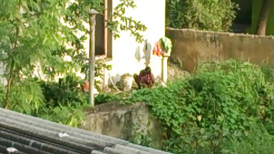 মেয়ে ভিদেও এক্সক্সক্স সমকামী, আন্ত জাতিগত