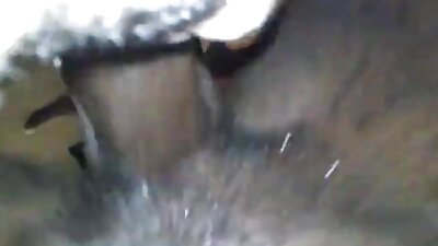 কাজ, ব্লজব, ব্লজব, ব্লজব, দুর্দশা বাংলাদেশী এক্সক্সক্স